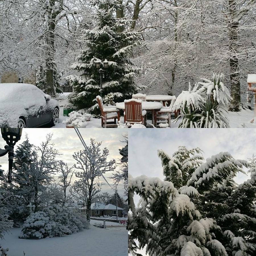 Ravenscourt House, Guest House Grantown-on-Spey Εξωτερικό φωτογραφία